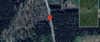 Träd över vägen skapar problem i trafiken på väg 1006