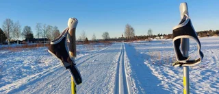 Läsarbild: Skidkul i underbart väder