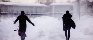 Håll i hatten – stormvarning för stora delar av Norrbotten