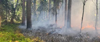 Risk för skogsbrand – då eldade länsstyrelsen