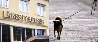 Länsstyrelsens beslut efter anmälda attacker– hund måste kopplas