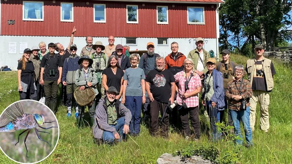 Trollsländeföreningen hade sin sommarträff i Västervik. För några var det första gången de fick se "mindre kejsartrollslända". Den är vanlig här men ovanlig i stora delar av landet.