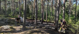 Polisen misstänker brott – efter brand i skog