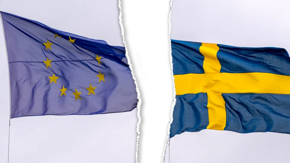Sverigedemokraterna vill att besluten för Sveroge ska fattas här och inte i Bryssel. 