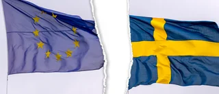 Vi svenskar ska bestämma över vårt eget land, inte EU