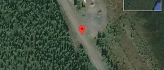 Varnar för renar på vägen på väg 95