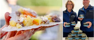 Löjromsfiskare börjar tillverka surströmming: "Riktigt nöjda"