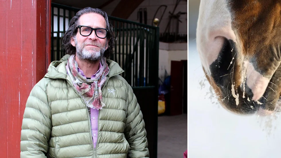 Fredrik Lindwall berättar att det är plågsamt för hästar att ha kvarka.