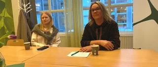 "Har varit otroligt svårt – det behövs en majoritet"