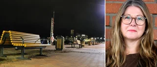 Kommunen vill kartlägga stöket med mobilapp