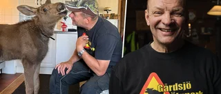 Hänger med älgar – är nästan mäktigast i Sverige