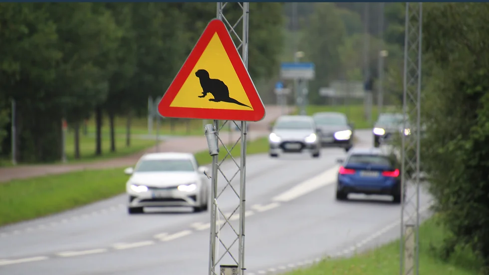 I Linköping satte kommunen upp varningsskyltar för uttern. De fick sitta uppe i nio år, tills Transportstyrelsen menade att de var olagliga och tvingade kommunen att ta ner dem.