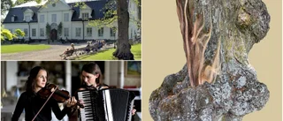 Konst, konserter och yoga i Hammarskog i helgen