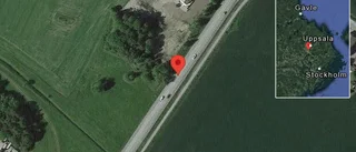 Hund på vägen på väg 288