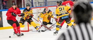 Piteå skrällde – vann DM-finalen mot Luleå