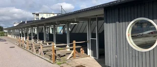 Inget hände vid Notviken i år