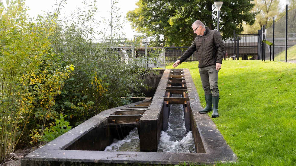 I Tranås har man lyckats miljöanpassa vattenkraften så att fisken kan leka igen. "Det tar tid, men jag tycker att vi har bevisat att det går och att vi har fått bra funktion i fiskvägarna," säger Magnus Lundberg, Tranås Energi. 