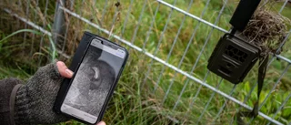 Dumpat slaktavfall och misshandel bland anmälningarna