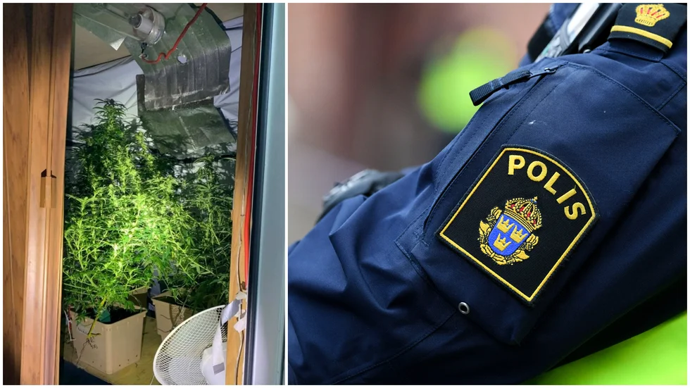 Man fann flera plantor med hampa i parets husvagn utanför Söderköping.