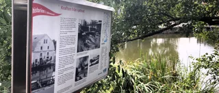 Att riva vattenkraftverk kräver en bättre utredning