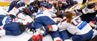 Suddenmål stoppade Södermanland i TV-pucken