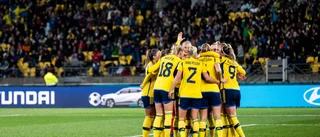Så var Sveriges seger mot Argentina