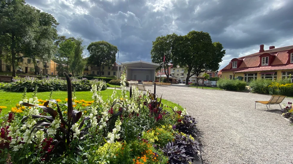 Under onsdagen kan allmänheten plocka på sig blommor och fröer för vinterförvaring i Ugglans park. Bilden är tagen vid ett annat tillfälle.