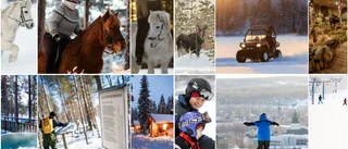 No travel required: Skellefteå's winter outdoor magic
