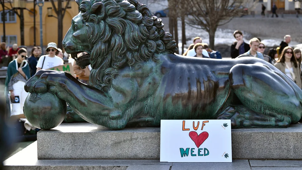 I våras anordnade Liberala ungdomsförbundet en cannabismanifestation i Stockholm. Förbundet är inte ensamt om att vilja ändra narkotikalagstiftningen.