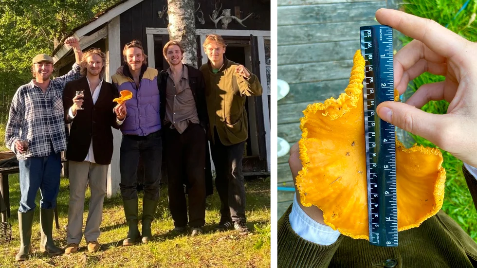Jättekantarellen mätte hela 18,5 centimeter. William Klemming, Hugo Klofsten, Hampus Almendal Zellén, Jack Klofsten och Love Sehlstedt fick sig en riktig rekordkväll.