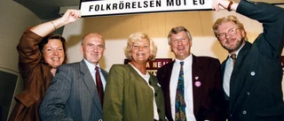 "2024 ser fler vikten och värdet av att Sverige är med i EU"