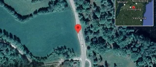 Viltolycka skapar trafikproblem