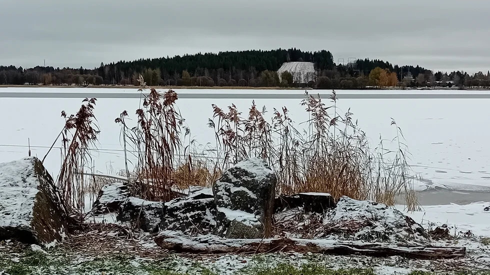 Dagens läsarbild.