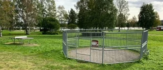 Nyttja fotbollsburen till hundrastgård