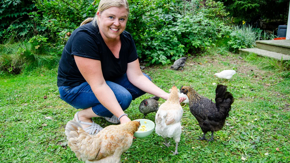 Maria Blomdahl med en del av sin hönsflock. Hönorna är sociala och lystrar till sina namn, äter gärna ur handen och kelar. 