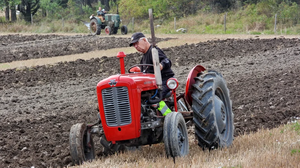Under förra årets veterantraktorplöjning var Hasse på plats med sin röda traktor. 