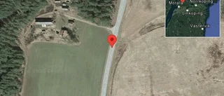 Fallna träd skapar problem i trafiken