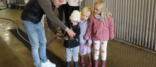 BILDEXTRA: "Brandmän släcker eld och kan rädda en katt"