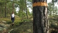 Bo Lewander kämpar på med Tjustleden.