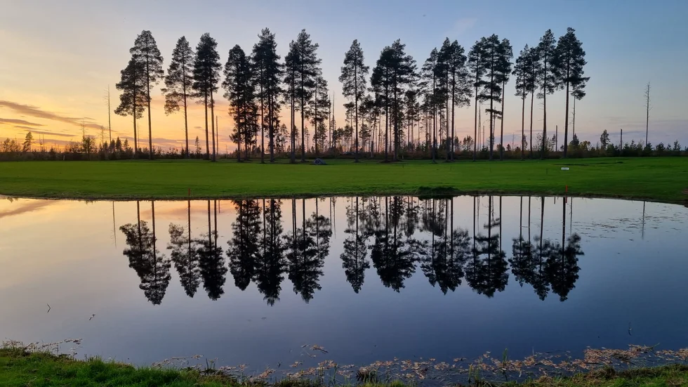 Dagens läsarbild.