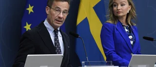 En spark på smalbenet på Moderaternas partiledning