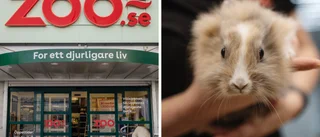 Zoojätten öppnar i Uppsala: "Branschen genomgår en resa"