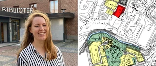 Planen: Här ska 60 nya hus byggas: "Sett ett stort intresse"
