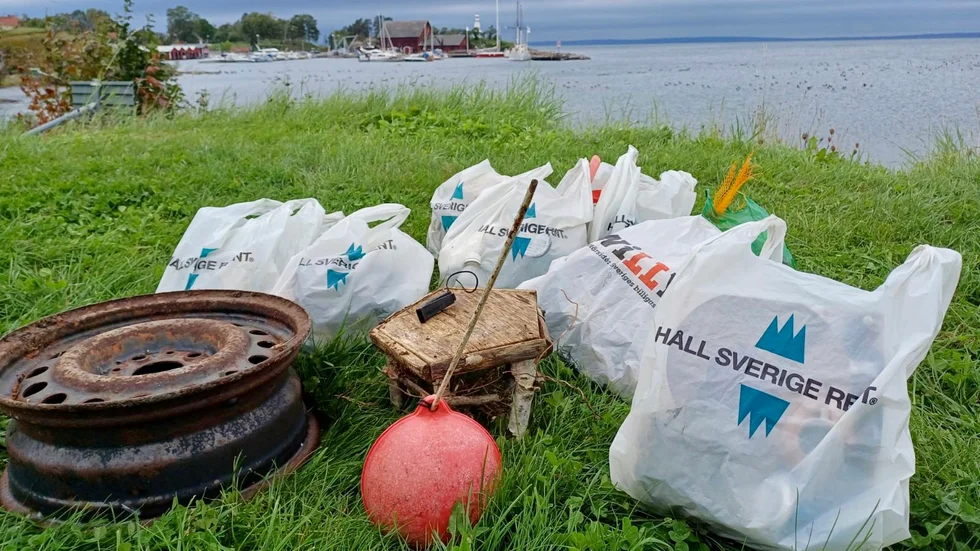 Fritidshemmet Rödingen var med och plockade skräp under "Hela Sverige plockar skräp".