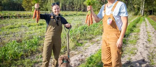 Reste tvärs över jorden för att jobba på bondgård i Boge