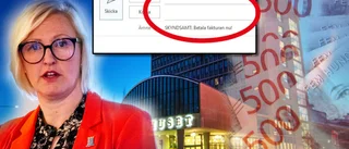 Chefen: "AI-robotar kan ligga bakom fakturabluff"