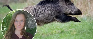 Jägare skänker viltkött till skolor och äldreboenden 