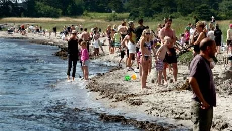 Bra vattenkvalitet. De gotländska badplatserna har genomgående en bra vattenkvalitet.