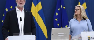 Regeringen: Tvinga vissa elever till lovskola