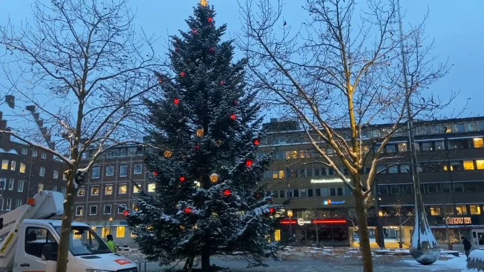 På torsdagsmorgonen testades belysningen med de bruna och röda julgranskulorna samt stjärnan i toppen. 